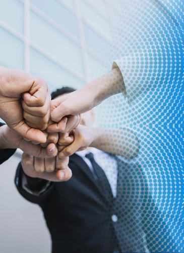 about knowledge-bridge-consulting-inc